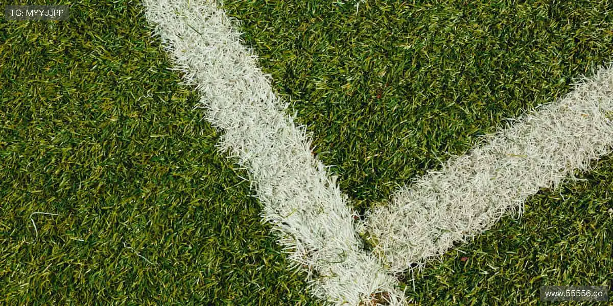 🎁把赛场带回家，让热爱触手可及！